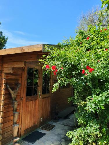 La Cabane du Pesquier en Provence - Caumont-sur-Durance