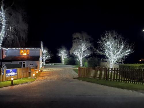 Village Limits - image 7