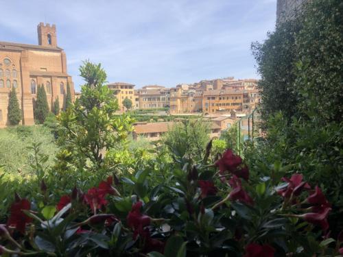  Casa Sophia in Siena