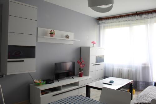 Apartament Sanok - image 4