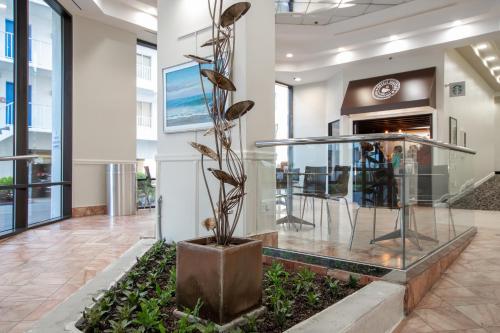 Princess Royale Oceanfront Resort - image 11