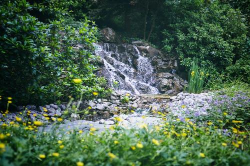 Rüters Parkhotel - image 13