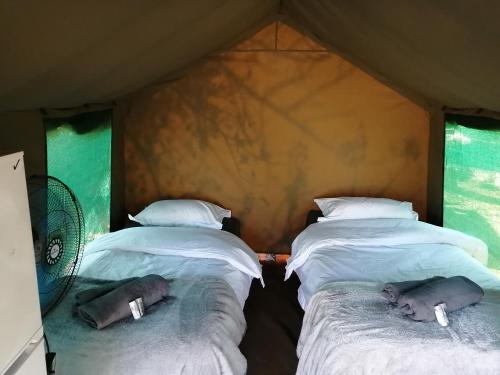 เตียงนอน, Yebo Safaris,Lower Sabie Rest Camp in อุทยานแห่งชาติครูเกอร์