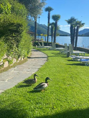 Holiday On The Lake Lugano 6