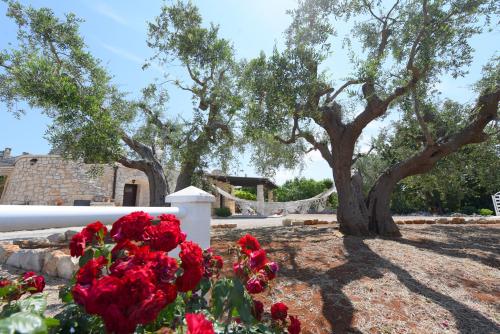 Antica Aia B&B - image 2