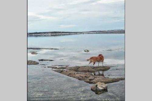 Ocean Front House in Cook's Harbour Newfoundland