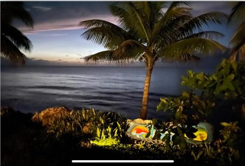 Casa Del Mar !!! Ocean front villa in Aguada