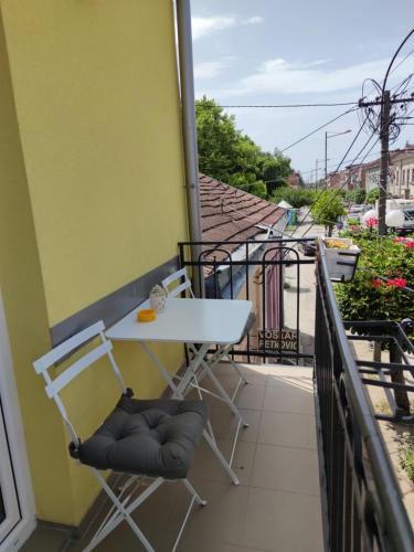 PINGO 2 - image 9