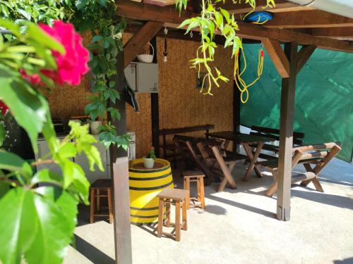 PINGO 2 - image 13