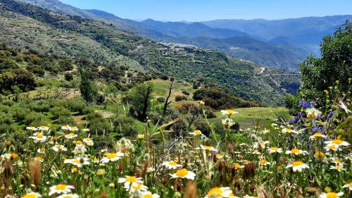 Alpujarra Guesthouse, habitaciones en un cortijo sostenible y aislado en medio de la nada en parque natural Sierra Nevada a 1150 metros altitud