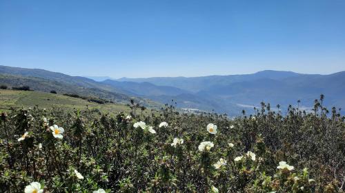 Alpujarra Guesthouse, habitaciones en un cortijo sostenible y aislado en medio de la nada en parque natural Sierra Nevada a 1150 metros altitud