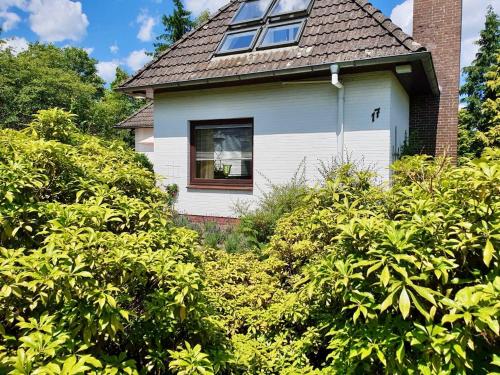 ทัศนียภาพ, Top-bewertete Komfort-Ferienwohnung mit Sonnenterrasse in der Lüneburger Heide (Top-bewertete Komfort-Ferienwohnung mit Sonnenterrasse in der Luneburger Heide) in ฮันชเต็ดท์