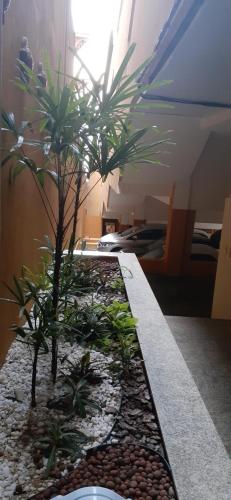 Atlântico Flat 104 e 116, Natal (fotografie 7)