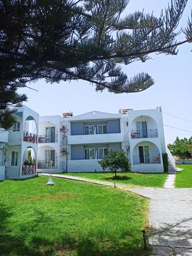 Summer Dream - image 8