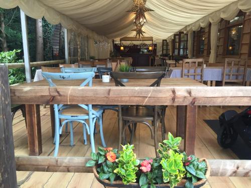 Camp Ended Forever in Owslebury