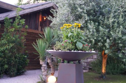 Guesthouse Dolomiten