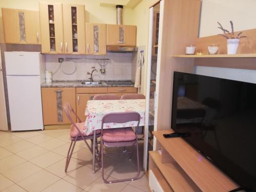  App Jankovic in Zambratija