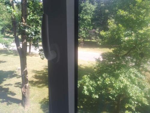 Gallery, Narva (photo 9)