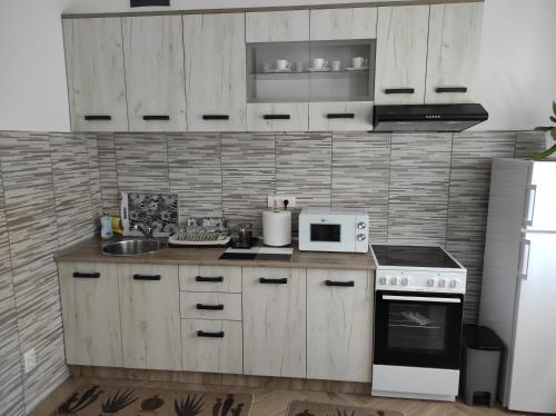 베오그라드 Andrea Airport Apartments 4성급 게스트하우스 부대시설