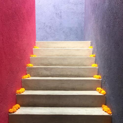 La Betulia Bed and Breakfast – Oaxaca, NE