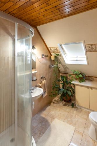  Bacchus Guesthouse in Eger