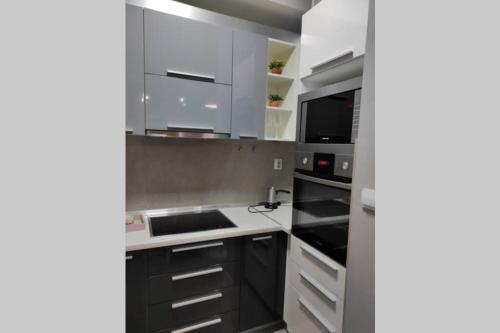 Centar One Apartmant, Скопье (фото 9)