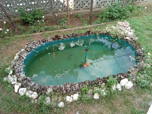 Krimski Guest House and Bungalows in بيالا