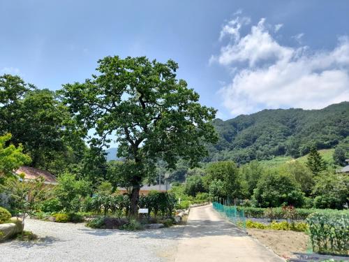 gangreung ijeumireu pensyeon in Yeongok-myeon