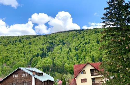 Holiday Home in Sinaia - Accommodation