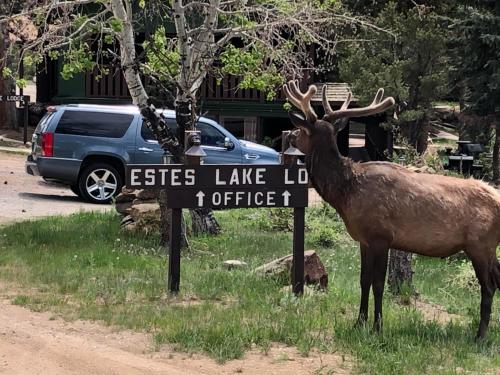 Estes Lake Lodge in Estes Park, USA