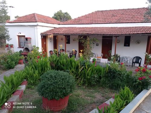 สวน, Armonia Guesthouse in สโคเพโลส