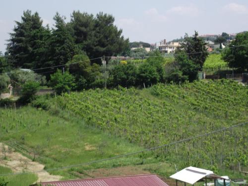 Affittacamere Stranamore - image 4