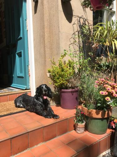 アルビン タウン ハウス ベッド アンド ブレックファースト