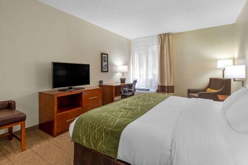 Comfort Inn & Suites Lenoir Hwy 321 Northern Foothills