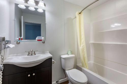 Econo Lodge Inn & Suites South Sandusky - image 9