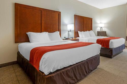 Comfort Inn & Suites Lenoir Hwy 321 Northern Foothills - image 2