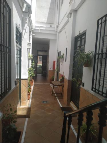 Apartamentos Fernando El Catolico, Malaga (foto 5)