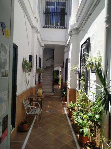 Apartamentos Fernando El Catolico, Malaga (foto 8)