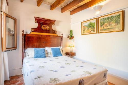 S Olivar Major - image 5