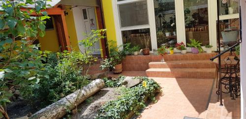 Pension Casa Leone - image 8