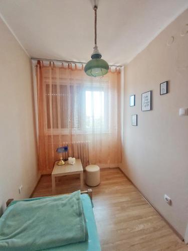 Sunshine apartment, Pančevo (foto 7)