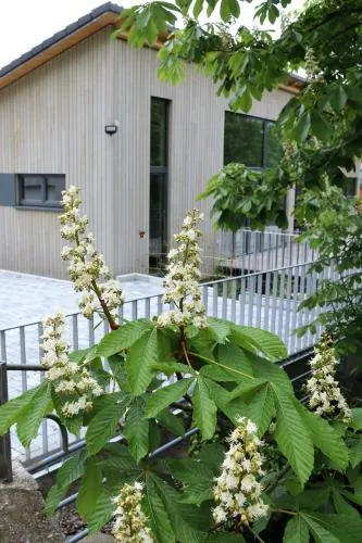 Klemmbachidyll in Badenweiler, Deutschland