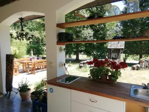 Viesnīcas āriene, Waldhaus Pat in Galambok