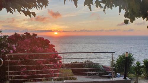 Appartements Marine de Palumbare photo 22