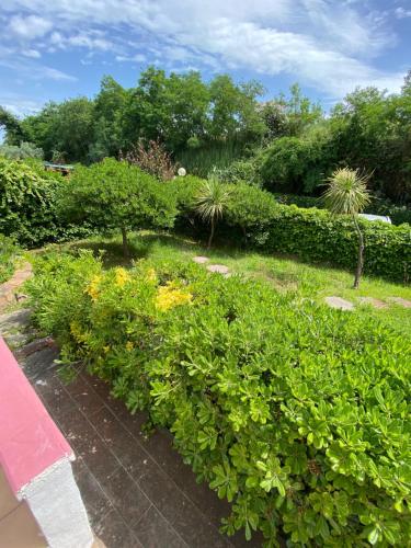 Villa con giardino Diamante Calabria - Estate 2021 gîte à louer Casa del Lago