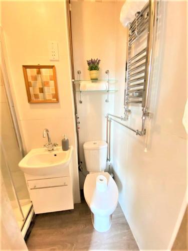 Lovely Twin Room with Terrace, Londýn (fotografie 7)