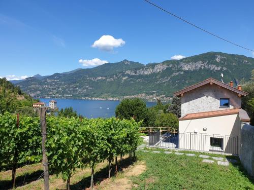 Bellagio Il Crotto