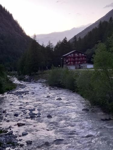 Pension Waldegg - restaurant Pension Waldegg - restaurant