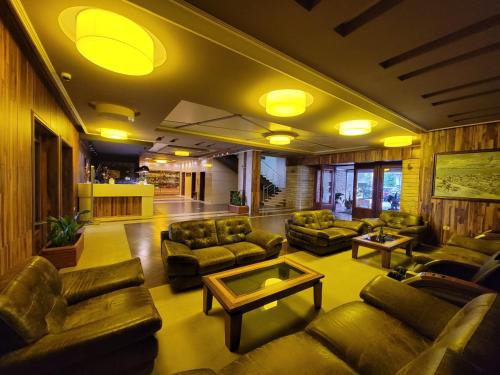 Hotel Enkelana in Поградец