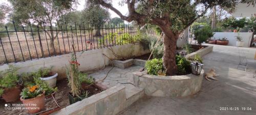 Traditional Seaside House by Liland gîte à louer Vasilikón